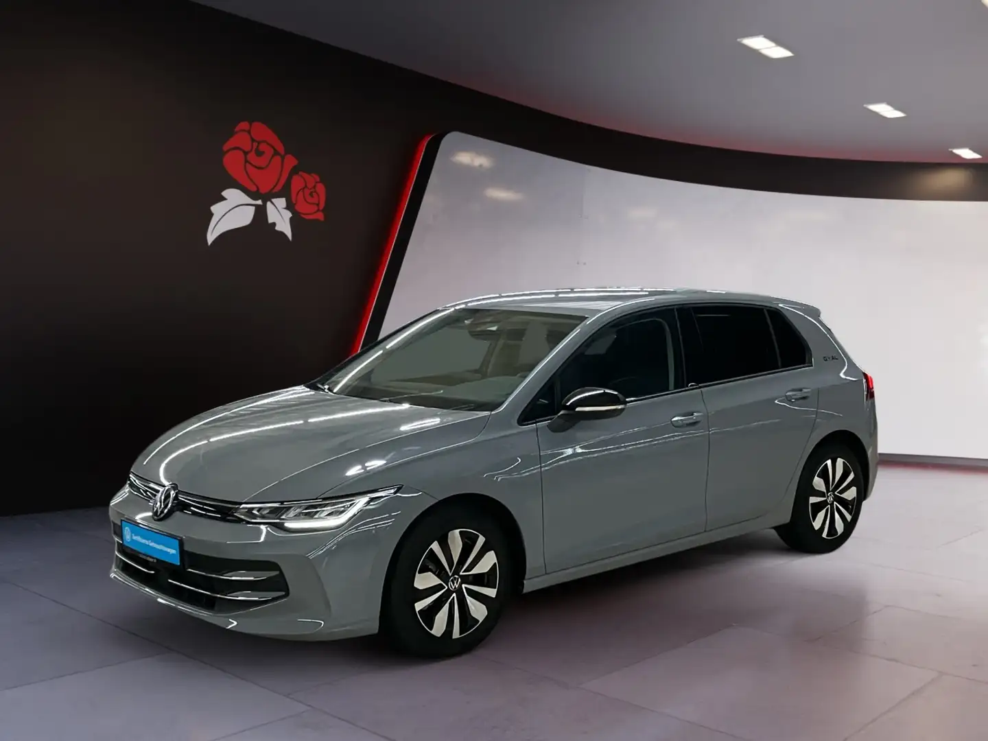 Volkswagen Golf 1,5 eTSI DSG Goal Kamera LED Grau - 2