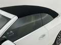 Mercedes-Benz CLE 220 Cabrio 300 4Matic 9G-DCT Bianco - thumbnail 34