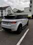 Land Rover Range Rover Evoque SE Dynamic Weiß - thumbnail 3