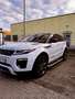 Land Rover Range Rover Evoque SE Dynamic Weiß - thumbnail 5