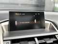 Lexus NX 300h AWD Luxury Line | Pano | Climate | Camera | Stoelv Argent - thumbnail 27
