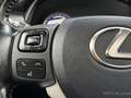 Lexus NX 300h AWD Luxury Line | Pano | Climate | Camera | Stoelv Argent - thumbnail 23