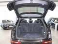 Audi Q5 40 TDI QUATTRO S-LINE SPORT BLACK / PANORAMA Nero - thumbnail 11