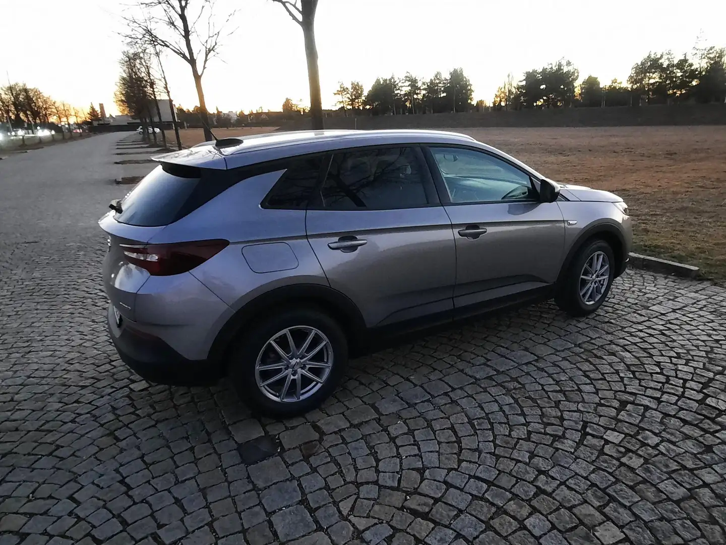 Opel Grandland X Grandland X 1.2 Start/Stop Business Edition Zilver - 2
