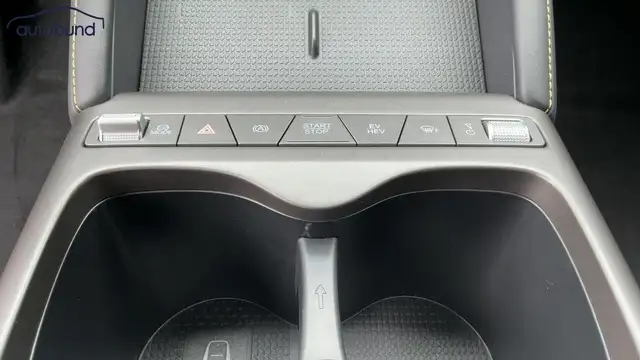 Byd Atto 2 view 16