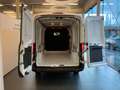 Ford Transit 2T 350L TREND L3H2 NIEUW  PROMO 27700+BTW Blanc - thumbnail 6