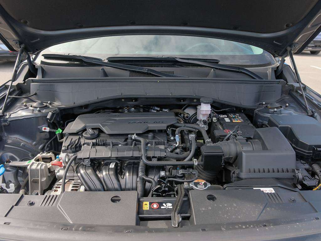 Image 11