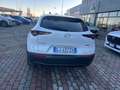 Mazda CX-30 CX-30 2.0 m-hybrid Exclusive 2wd 122cv 6mt Bianco - thumbnail 8
