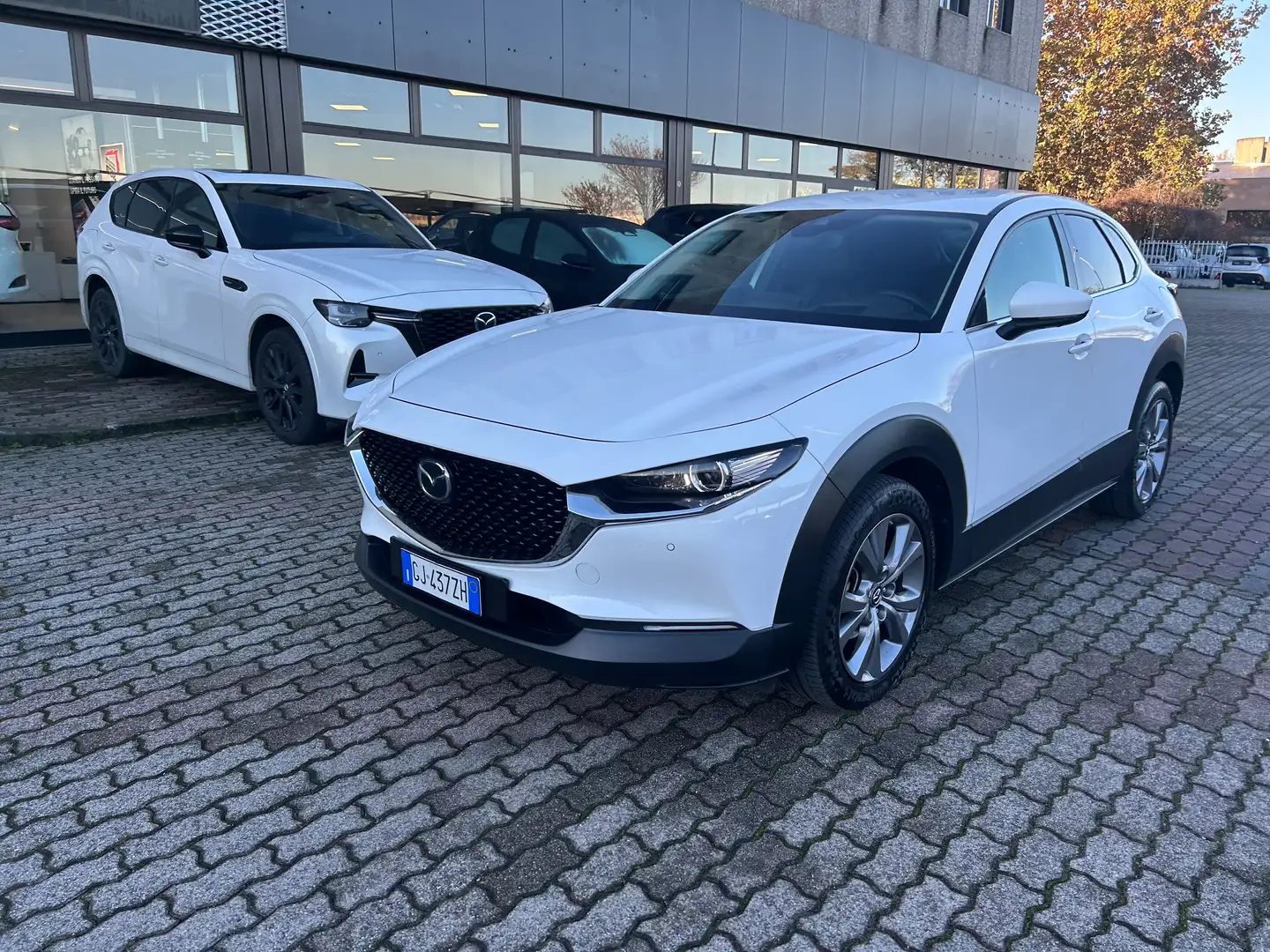 Mazda CX-30 CX-30 2.0 m-hybrid Exclusive 2wd 122cv 6mt Bianco - 2