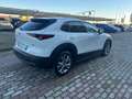 Mazda CX-30 CX-30 2.0 m-hybrid Exclusive 2wd 122cv 6mt Bianco - thumbnail 6