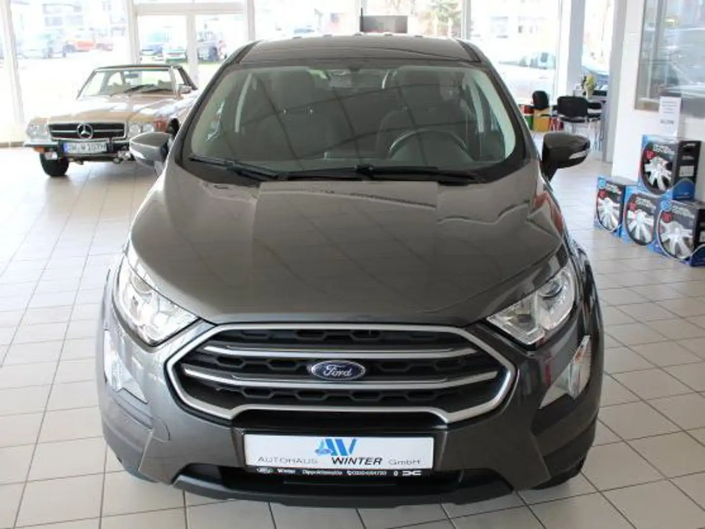 Ford EcoSport 1.0 EcoBoost TREND Grau - 1
