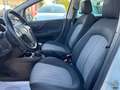 Fiat Punto Punto 1.3 MJT II S&S 95 CV 5 porte Street Blanc - thumbnail 8