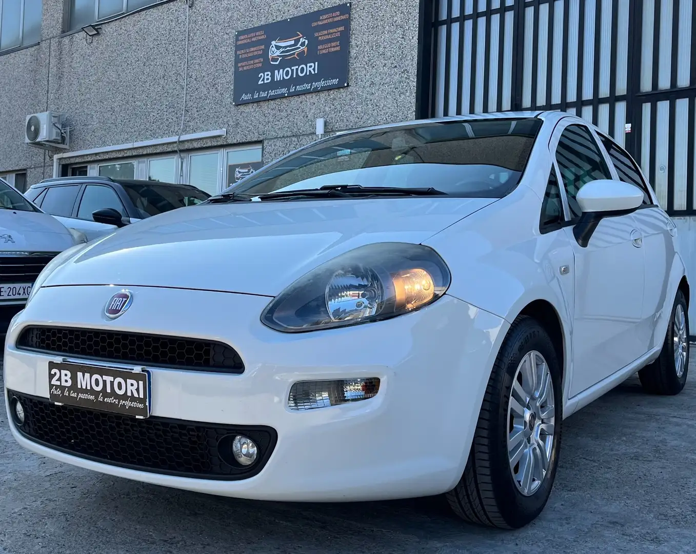 Fiat Punto Punto 1.3 MJT II S&S 95 CV 5 porte Street Bianco - 1