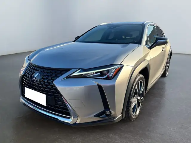 Lexus UX 250h Hybrid Executive 2WD - Lievemente Grandinata