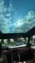 Land Rover Range Rover 3.0 TD V6  Autobiography Grau - thumbnail 14