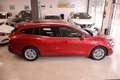 Ford Focus Sportbreak 1.5Ecoblue Titanium Rojo - thumbnail 7