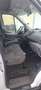 Ford Transit Transit 350 L2H2 HA S - thumbnail 6