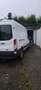 Ford Transit Transit 350 L2H2 HA S - thumbnail 2