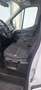 Ford Transit Transit 350 L2H2 HA S - thumbnail 4
