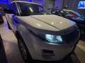 Land Rover Range Rover Evoque 2.2 PRESTIGE 150CV Wit - thumbnail 1