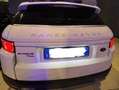 Land Rover Range Rover Evoque 2.2 PRESTIGE 150CV Weiß - thumbnail 5
