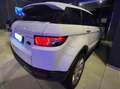 Land Rover Range Rover Evoque 2.2 PRESTIGE 150CV Wit - thumbnail 6