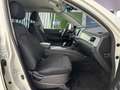 SsangYong Rexton D22 DTR Premium 4x4 Aut. Blanco - thumbnail 15