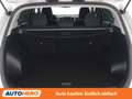 Kia Sportage 1.7 CRDi Österreich Edition 2WD Grau - thumbnail 17