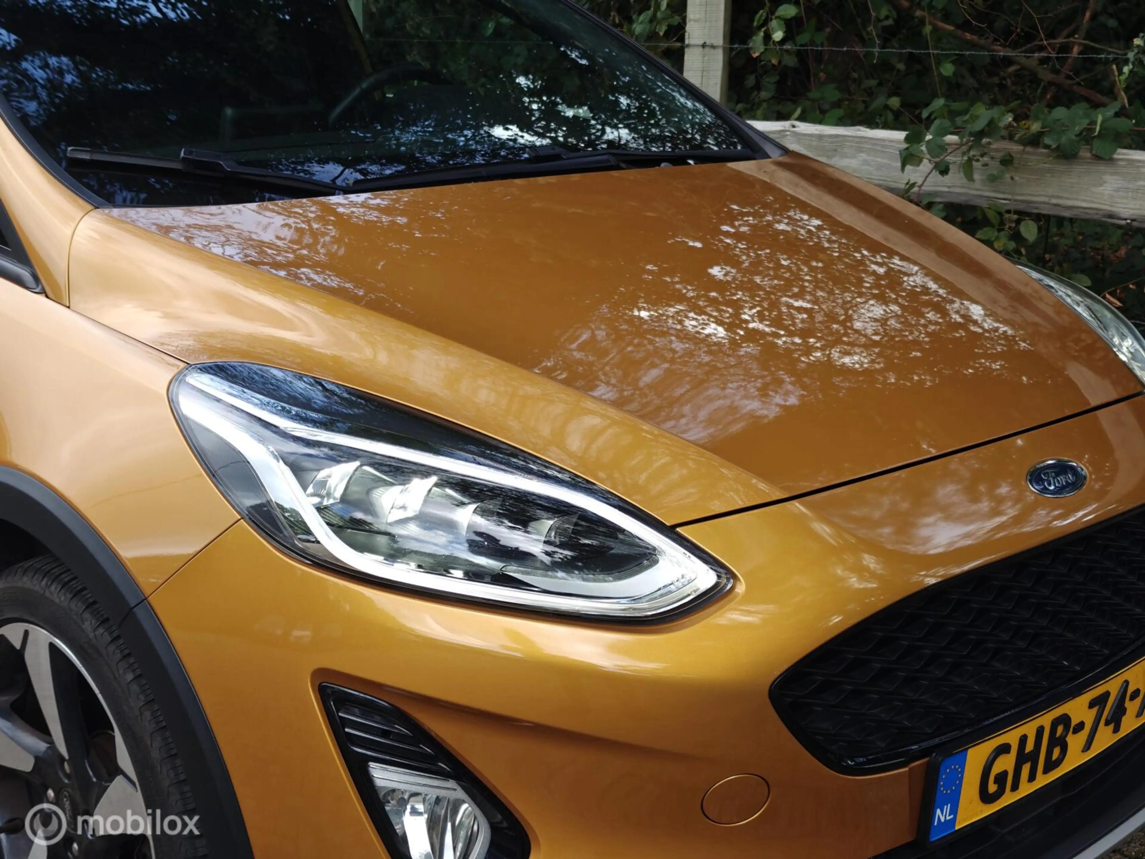 Ford Fiesta 1.0 Active|LED|DAB+|Stoelverw.|Adapt.cruise|Carpla — photo 9