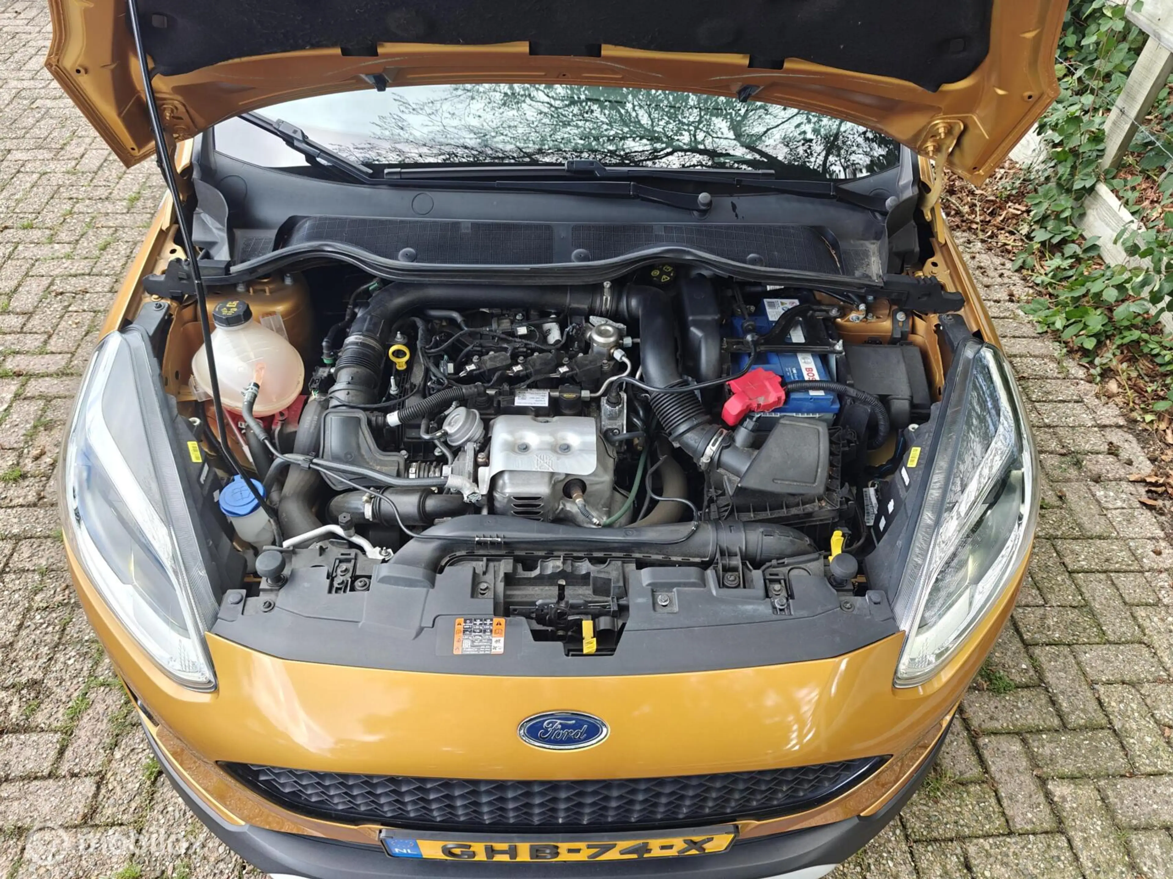 Ford Fiesta 1.0 Active|LED|DAB+|Stoelverw.|Adapt.cruise|Carpla — photo 39