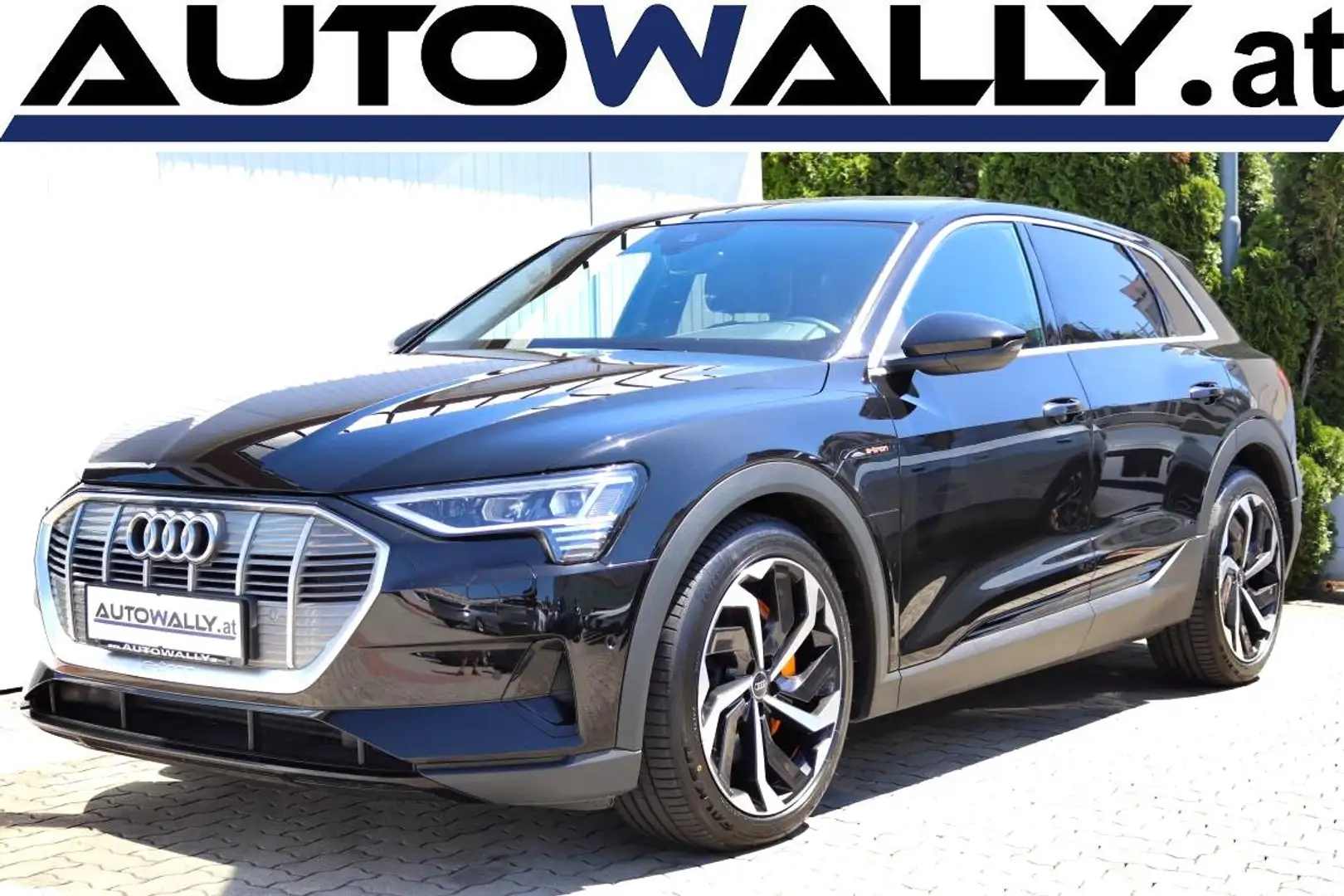 Audi e-tron e-tron 55 quattro 95kWh Business Schwarz - 1