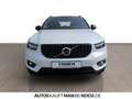 Volvo XC40 T5 TwinEng R-Design ACC 360° Pano H+K BLIS! Weiß - thumbnail 2