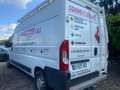 Peugeot Boxer 335 L3H2 Komfort Plus HDi 130 Motorschaden Blanc - thumbnail 7