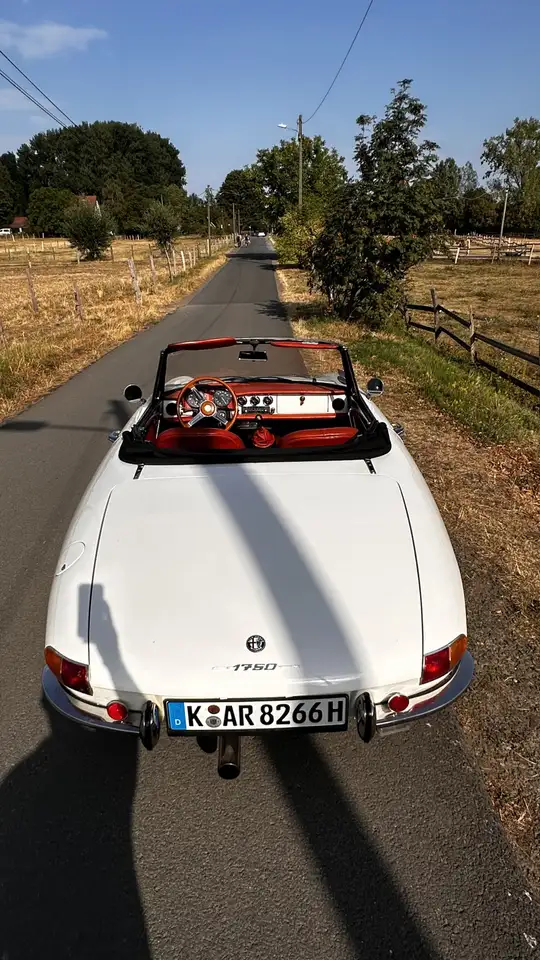 Alfa Romeo Spider 1750 Rundheck, foto 6