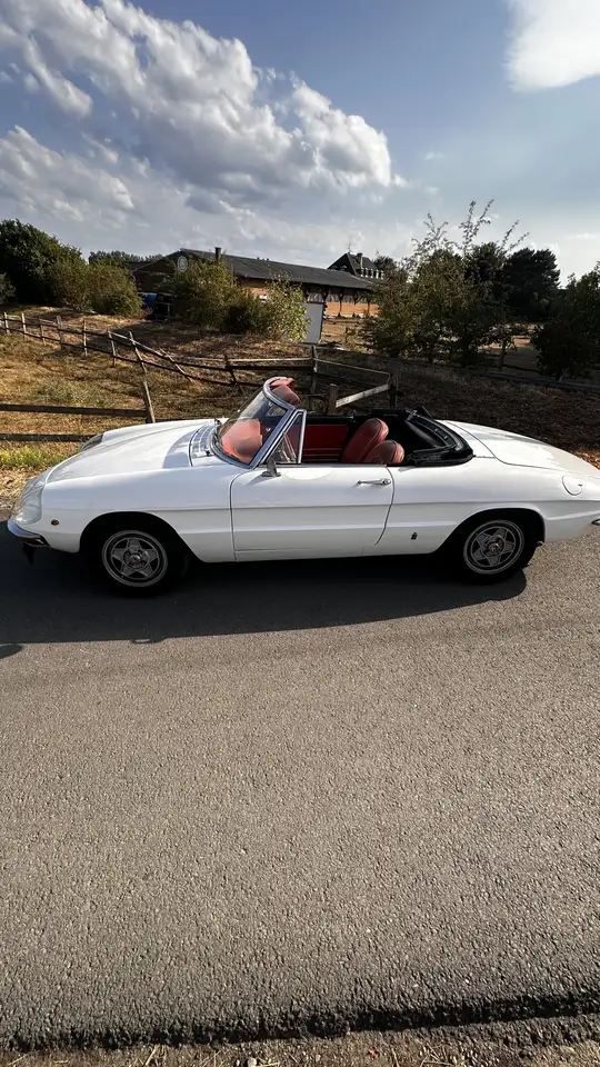 Alfa Romeo Spider 1750 Rundheck, foto 7