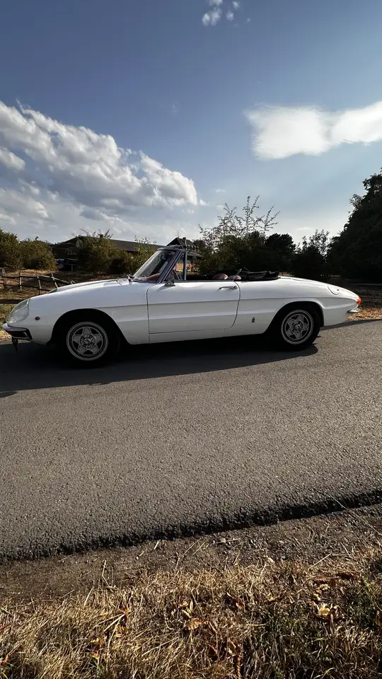 Alfa Romeo Spider 1750 Rundheck, foto 5