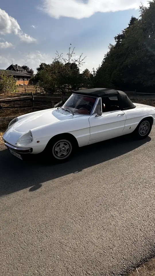 Alfa Romeo Spider 1750 Rundheck, foto 11