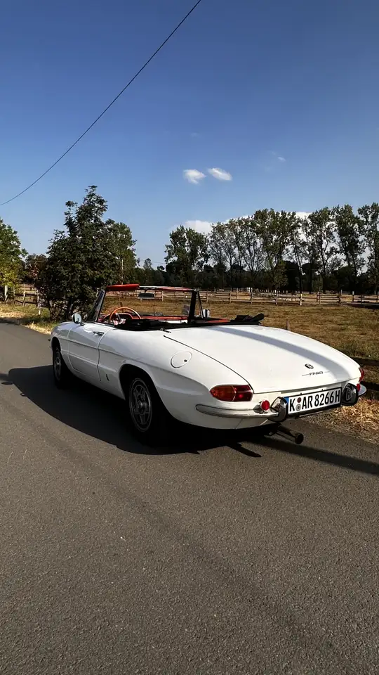 Alfa Romeo Spider 1750 Rundheck, foto 10