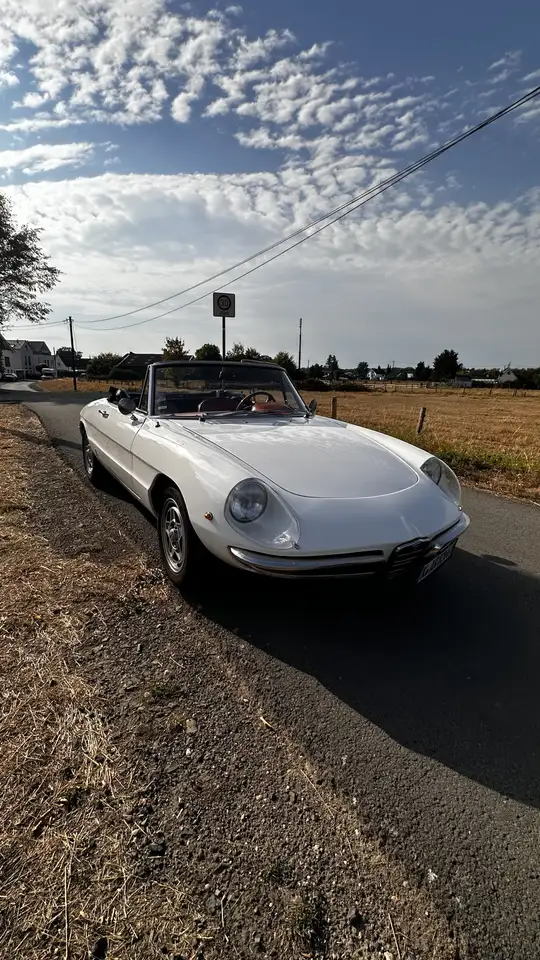 Alfa Romeo Spider 1750 Rundheck, foto 8