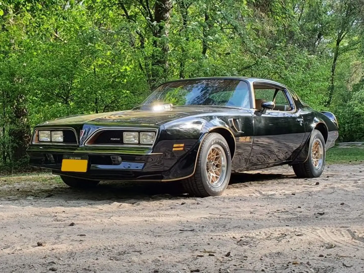 Pontiac Trans Am Bandit Schwarz - 1