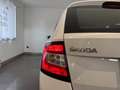 Skoda Fabia 1,4 TDI Ambition Weiß - thumbnail 8