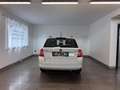 Skoda Fabia 1,4 TDI Ambition Weiß - thumbnail 5
