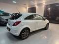 Opel Corsa 1.3 CDTI 75CV ecoFLEX 3 porte Club Bianco - thumbnail 7