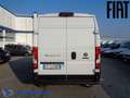 Fiat Ducato Elettrico 47Kw furgone Lh2 Bianco - thumbnail 5