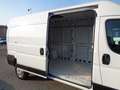 Fiat Ducato Elettrico 47Kw furgone Lh2 Bianco - thumbnail 7