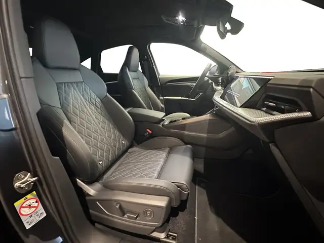 Audi SQ5 view 10