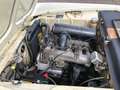 Peugeot 404 Cabrio Weiß - thumbnail 21