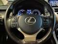 Lexus NX 300 300h Business Navigation 2WD Bianco - thumbnail 13