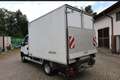 Iveco Daily 35 C 13 V DPF - thumbnail 16
