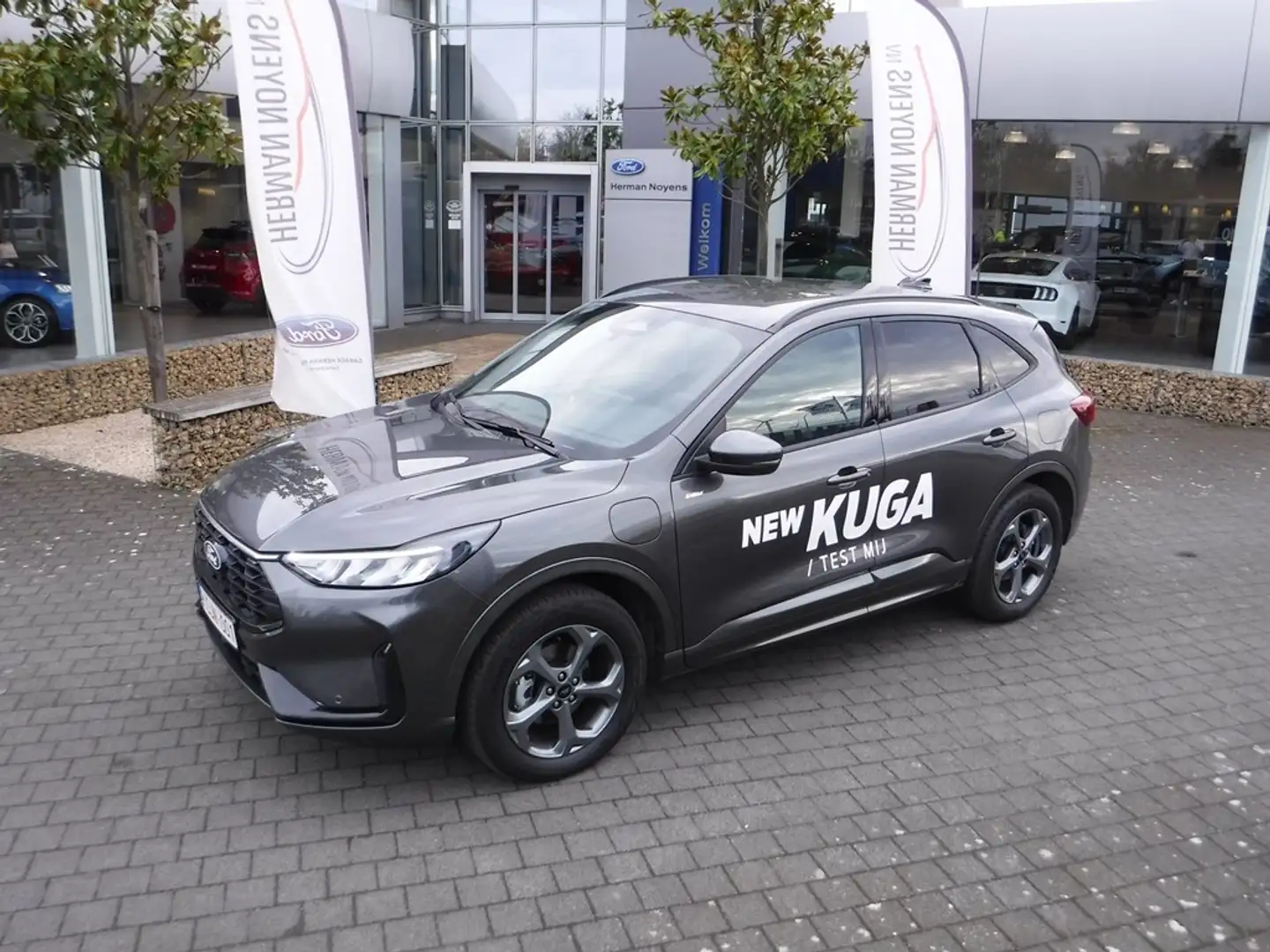 Ford Kuga ST-Line PHEV AUT Gris - 1